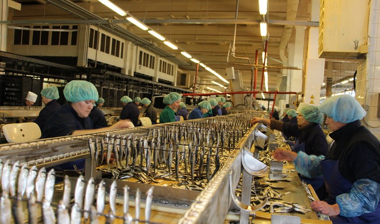 Sardine brisling în ulei de măsline 160g